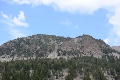 DSC_3125 (Large).JPG